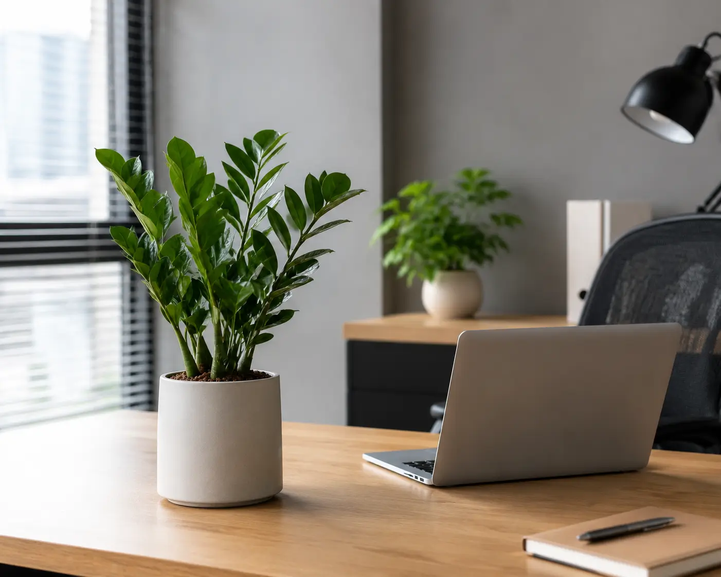 Tanaman untuk Ruang Kerja atau Kantor